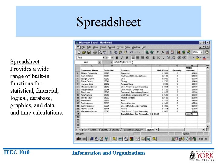 Spreadsheet Provides a wide range of built-in functions for statistical, financial, logical, database, graphics,