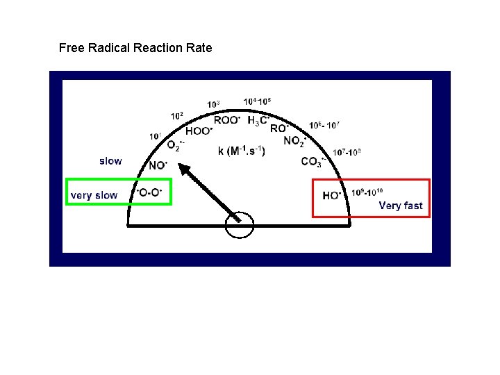 Free Radical Reaction Rate 