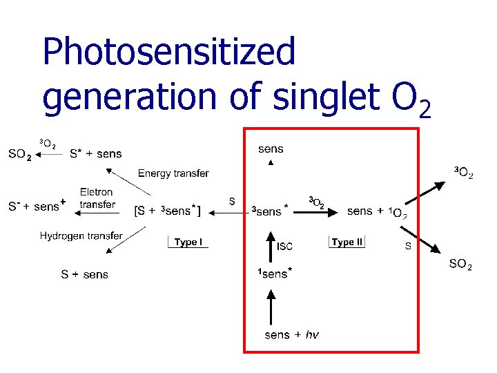 Photosensitized generation of singlet O 2 