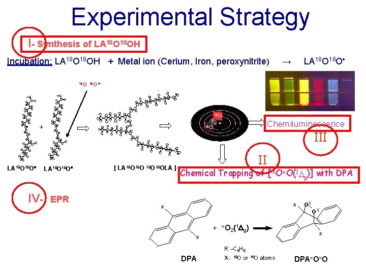 Experimental Strategy I- Synthesis of LA 18 OH Incubation: LA 18 OH + Metal