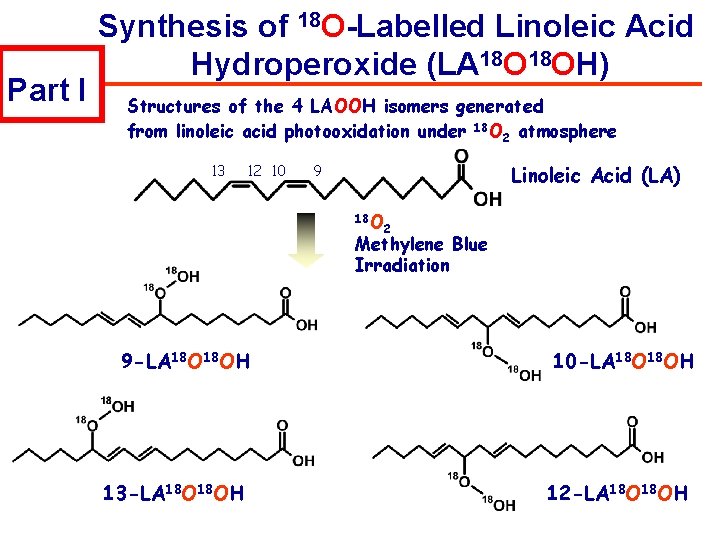 Part I Synthesis of 18 O-Labelled Linoleic Acid Hydroperoxide (LA 18 OH) Structures of