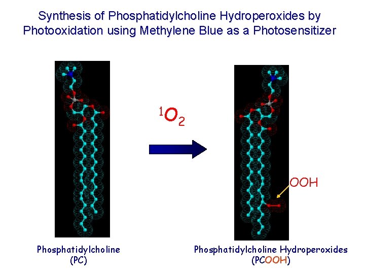 Synthesis of Phosphatidylcholine Hydroperoxides by Photooxidation using Methylene Blue as a Photosensitizer 1 O