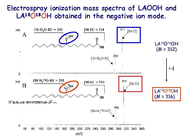 Electrospray ionization mass spectra of LAOOH and LA 18 OH obtained in the negative