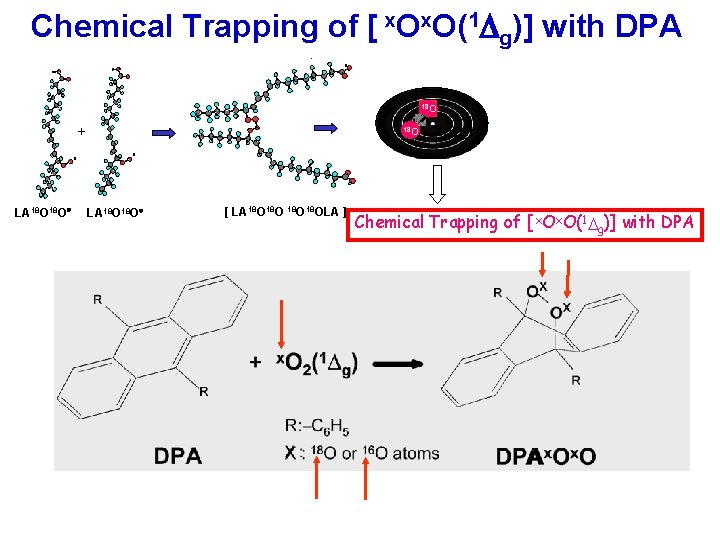 Chemical Trapping of [ x. O(1 g)] with DPA - 18 O +. LA