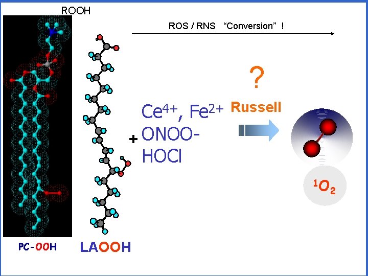 ROOH ROS / RNS “Conversion” ! ? Ce 4+, Fe 2+ + ONOOHOCl Russell