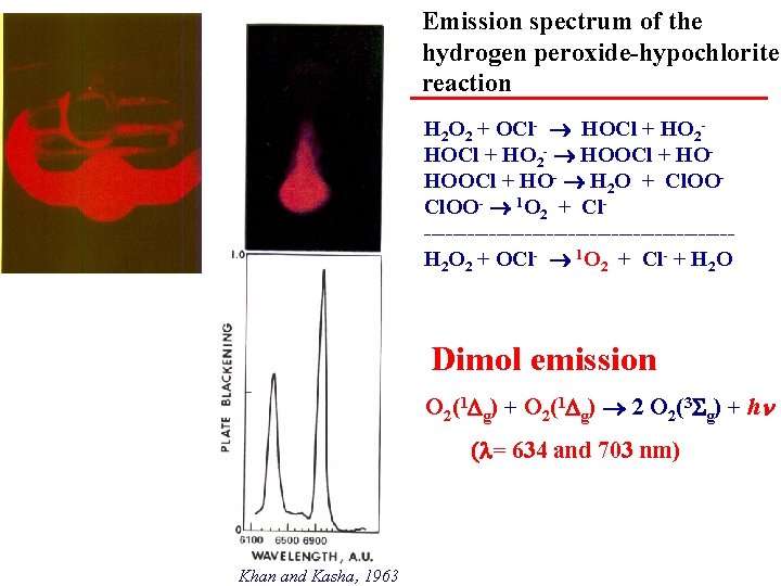Emission spectrum of the hydrogen peroxide-hypochlorite reaction H 2 O 2 + OCl- HOCl