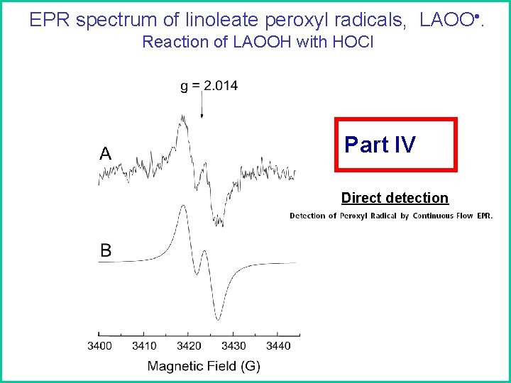 EPR spectrum of linoleate peroxyl radicals, LAOO. Reaction of LAOOH with HOCl Part IV