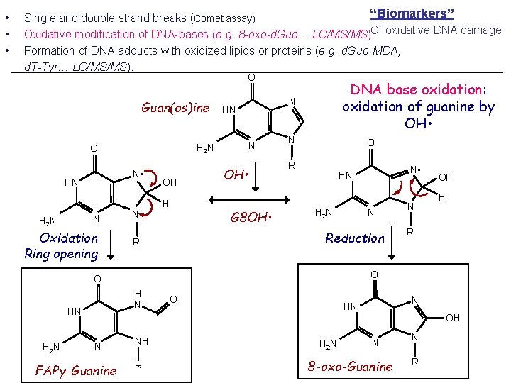  • • • “Biomarkers” Single and double strand breaks (Comet assay) Oxidative modification