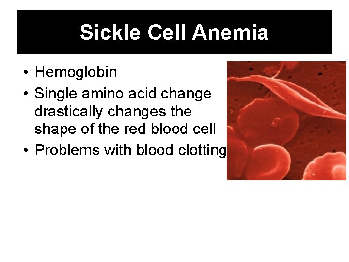 Sickle Cell Anemia • Hemoglobin • Single amino acid change drastically changes the shape