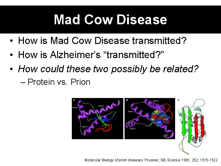 Mad Cow Disease • How is Mad Cow Disease transmitted? • How is Alzheimer’s