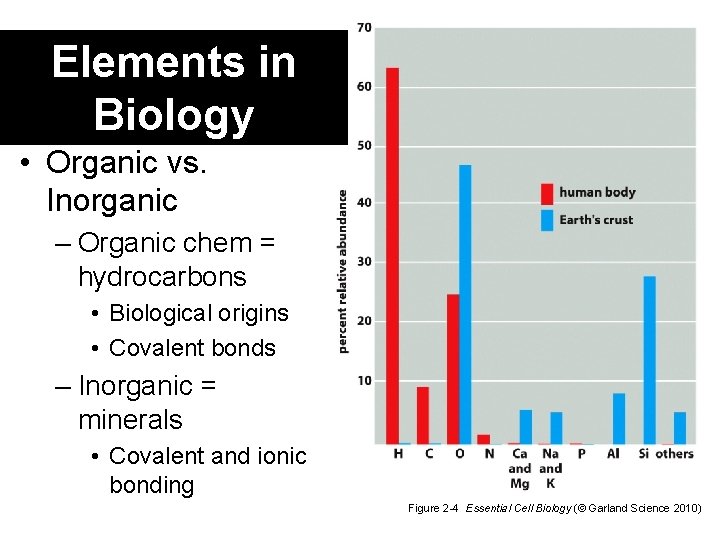 Elements in Biology • Organic vs. Inorganic – Organic chem = hydrocarbons • Biological