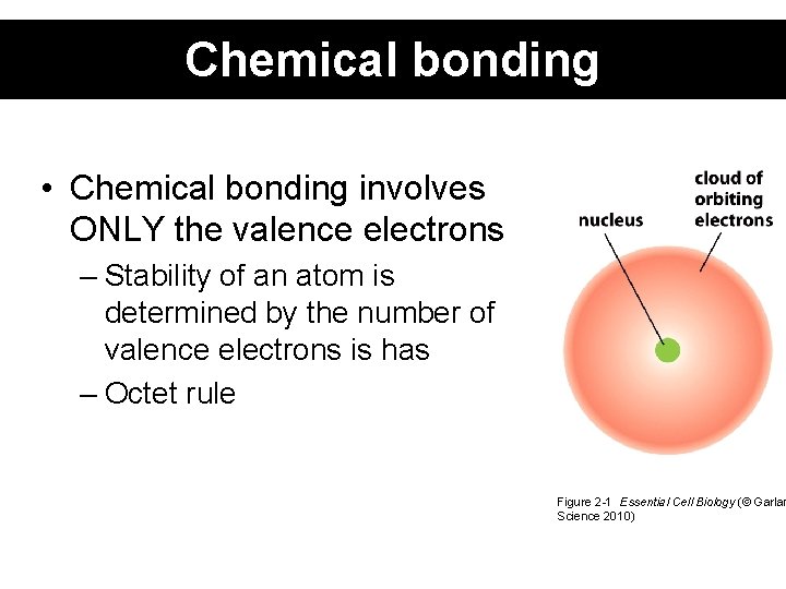 Chemical bonding • Chemical bonding involves ONLY the valence electrons – Stability of an