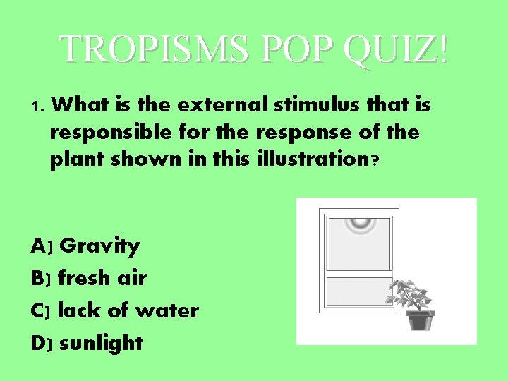 TROPISMS POP QUIZ! 1. What is the external stimulus that is responsible for the TROPISMS POP QUIZ! 1. What is the external stimulus that is responsible for the