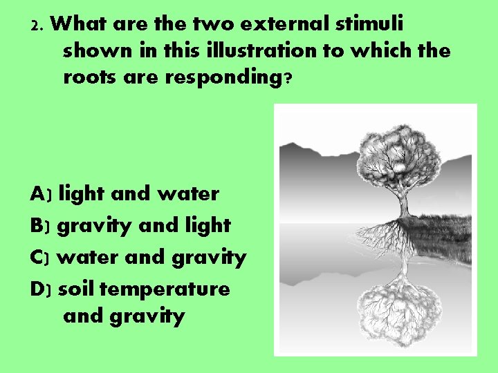 2. What are the two external stimuli shown in this illustration to which the