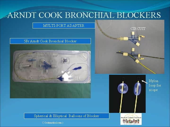 ARNDT COOK BRONCHIAL BLOCKERS MULTI-PORT ADAPTER CIRCUIT 5 Fr Arndt Cook Bronchial Blocker Nylon ARNDT COOK BRONCHIAL BLOCKERS MULTI-PORT ADAPTER CIRCUIT 5 Fr Arndt Cook Bronchial Blocker Nylon