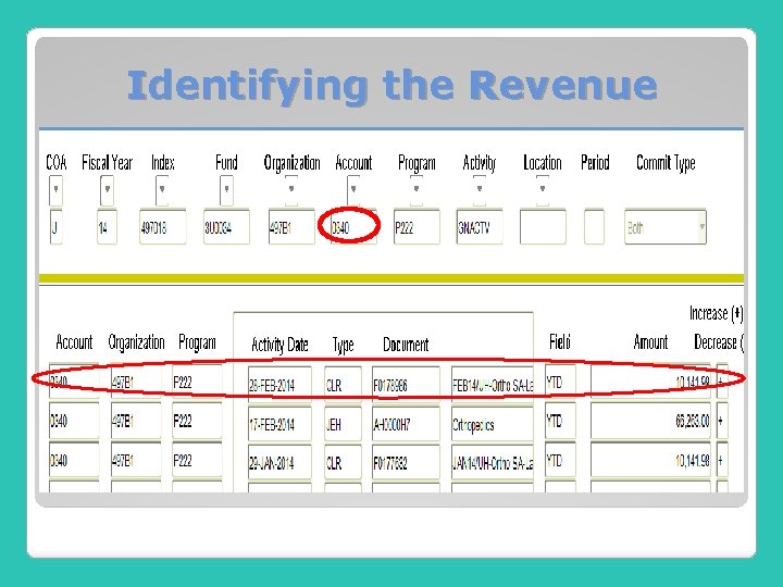 Identifying the Revenue 