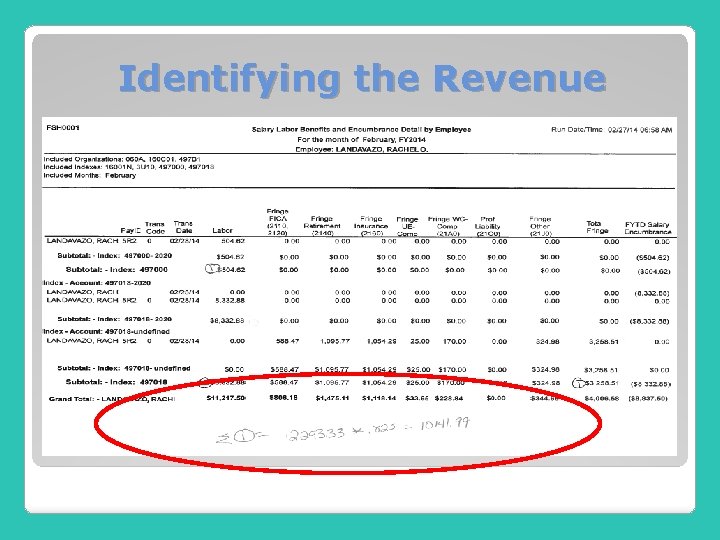 Identifying the Revenue 