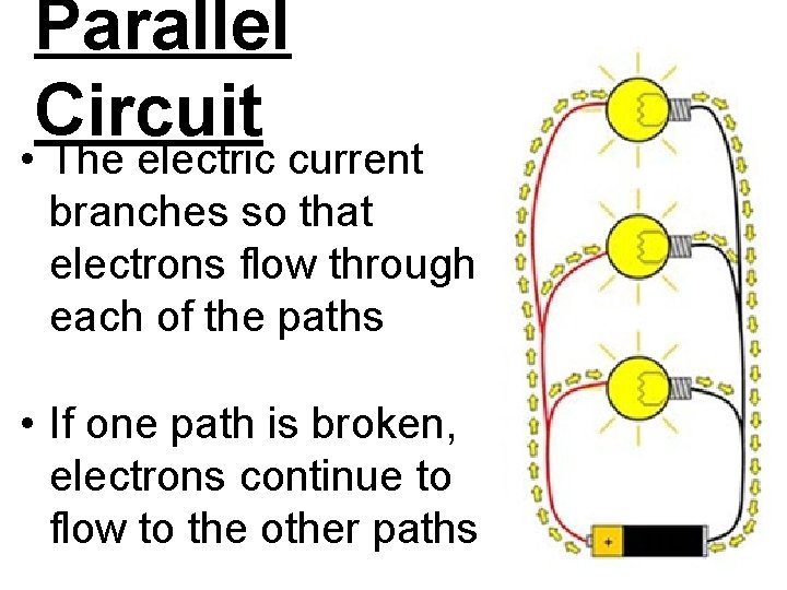 Parallel Circuit • The electric current branches so that electrons flow through each of