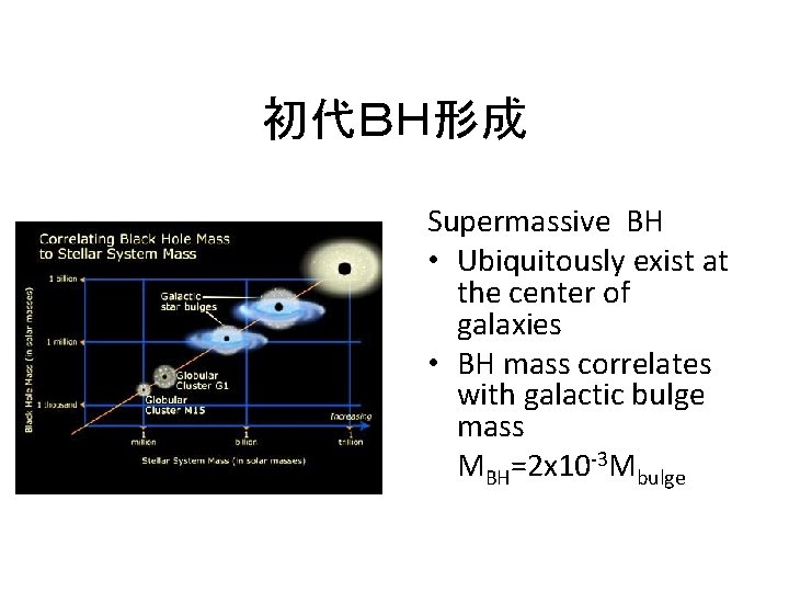 初代ＢＨ形成 Supermassive BH • Ubiquitously exist at the center of galaxies • BH mass