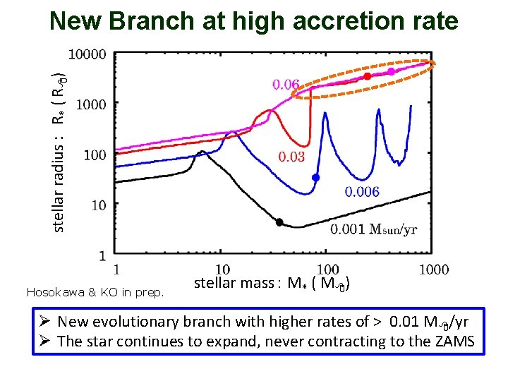 stellar radius : 　R* ( R 8) New Branch at high accretion rate Hosokawa