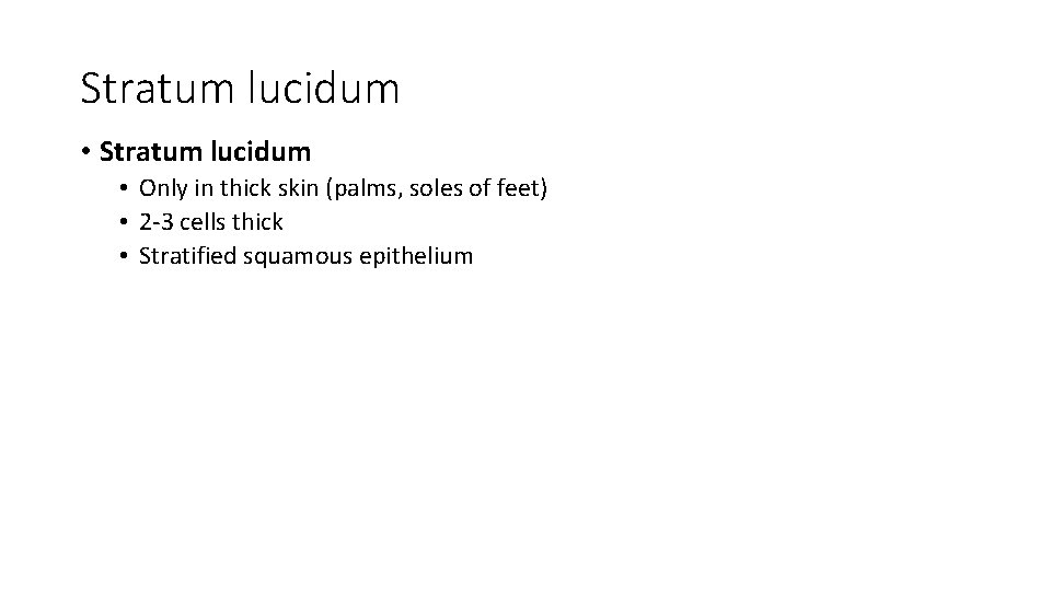 Stratum lucidum • Only in thick skin (palms, soles of feet) • 2 -3