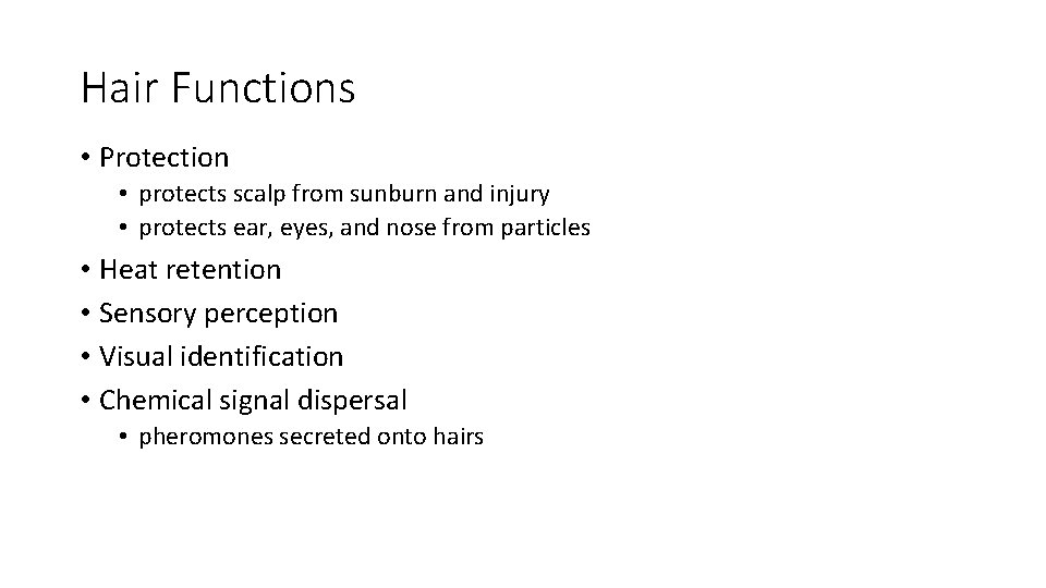 Hair Functions • Protection • protects scalp from sunburn and injury • protects ear,