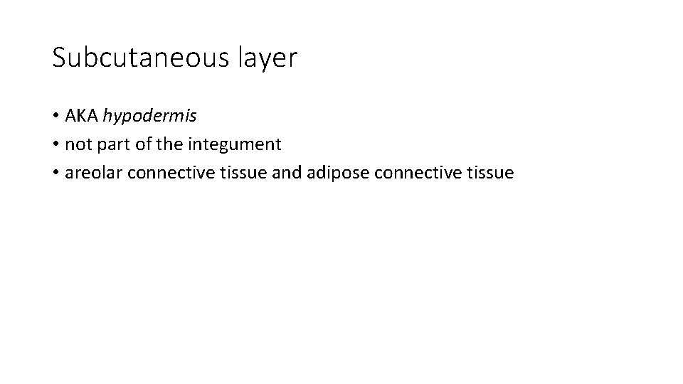 Subcutaneous layer • AKA hypodermis • not part of the integument • areolar connective