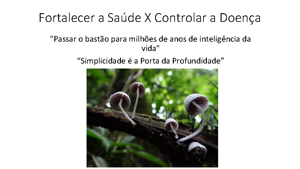 Fortalecer a Saúde X Controlar a Doença "Passar o bastão para milhões de anos Fortalecer a Saúde X Controlar a Doença "Passar o bastão para milhões de anos