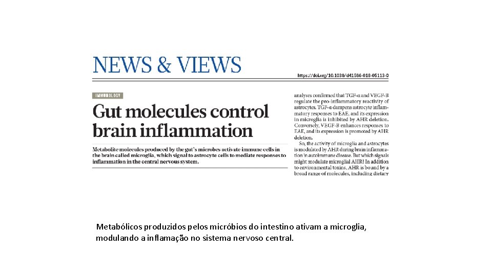 Metabólicos produzidos pelos micróbios do intestino ativam a microglia, modulando a inflamação no sistema Metabólicos produzidos pelos micróbios do intestino ativam a microglia, modulando a inflamação no sistema