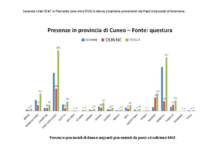 Secondo i dati ISTAT in Piemonte sono oltre 7000 le donne e bambine provenienti