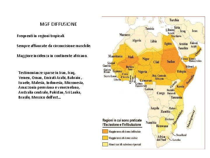 MGF DIFFUSIONE Frequenti in regioni tropicali. Sempre affiancate da circoncisione maschile. Maggiore incidenza in