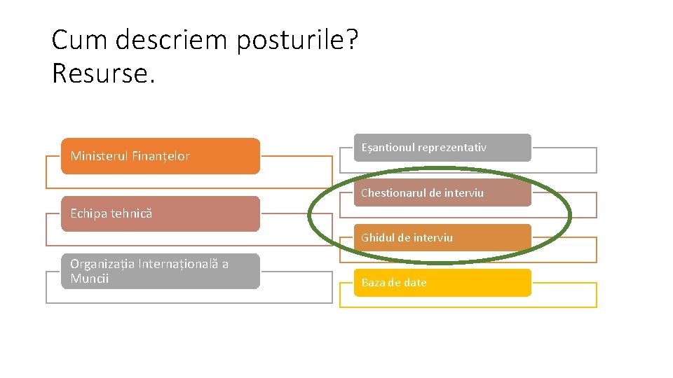 Cum descriem posturile? Resurse. Ministerul Finanțelor Eșantionul reprezentativ Chestionarul de interviu Echipa tehnică Ghidul