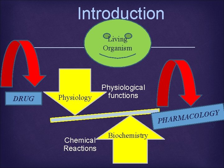 Introduction Living Organism DRUG Physiology Physiological functions Y G O L O C A