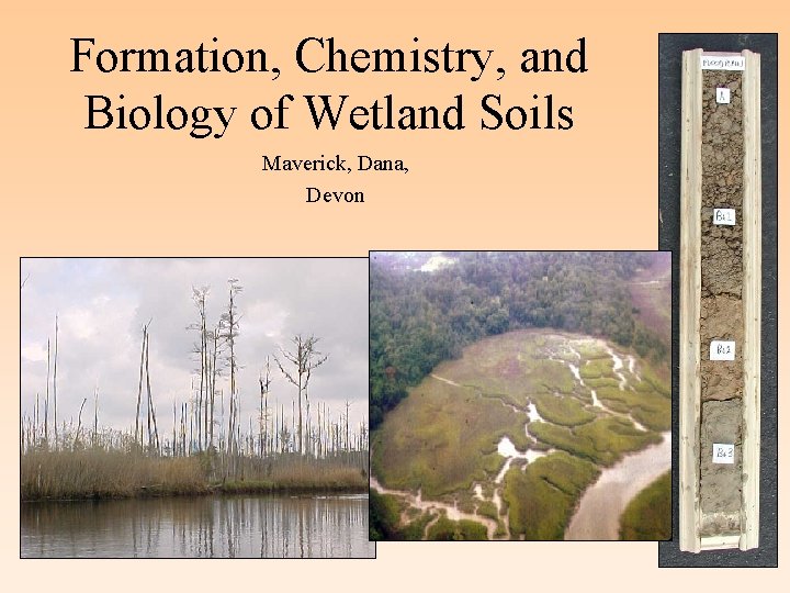 Formation, Chemistry, and Biology of Wetland Soils Maverick, Dana, Devon 