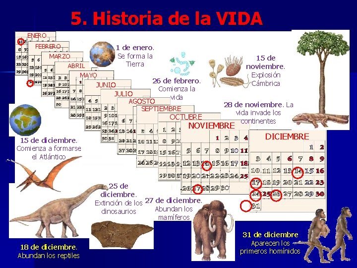 5. Historia de la VIDA ENERO FEBRERO MARZO ABRIL MAYO 1 de enero. Se