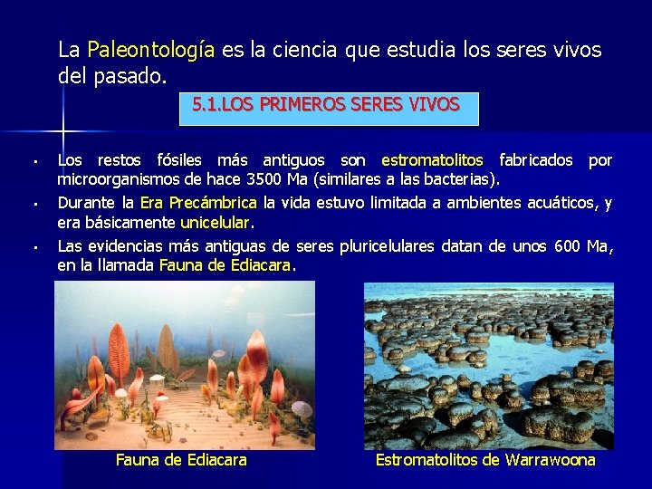 La Paleontología es la ciencia que estudia los seres vivos del pasado. 5. 1.