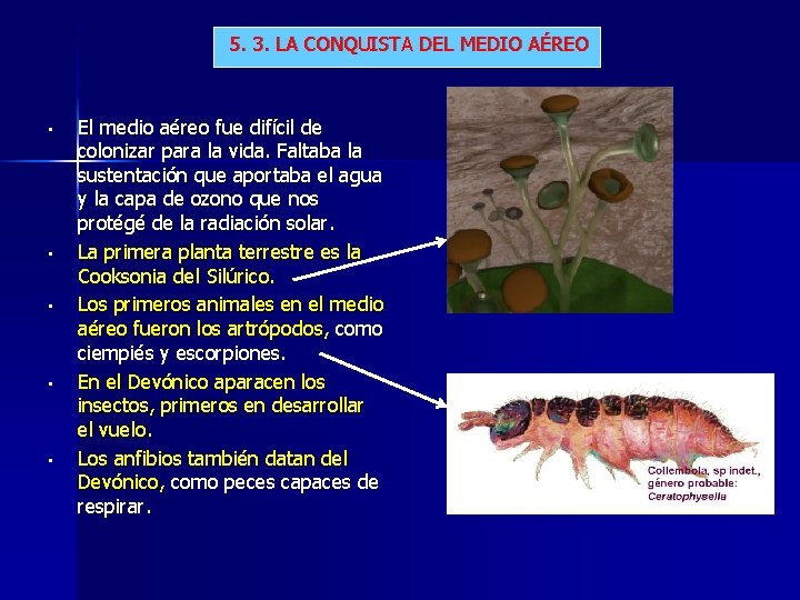 5. 3. LA CONQUISTA DEL MEDIO AÉREO • • • El medio aéreo fue