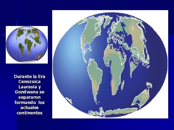 Durante la Era Cenozoica Laurasia y Gondwana se separaron formando los actuales continentes 