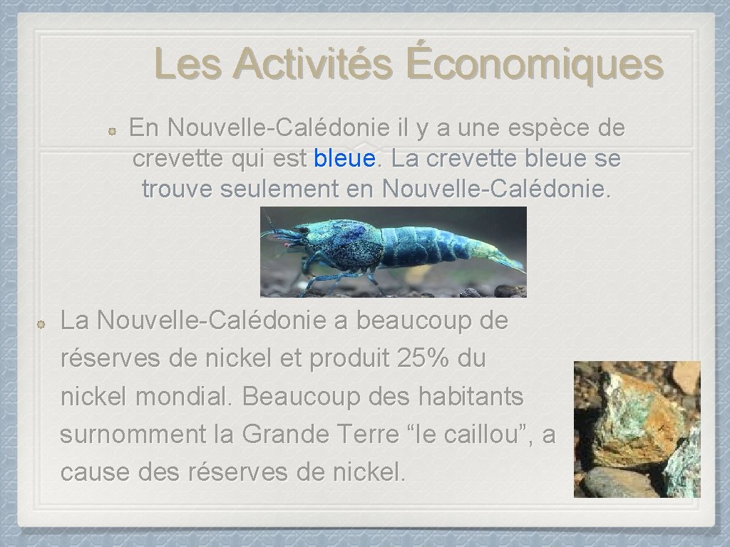 Les Activités Économiques En Nouvelle-Calédonie il y a une espèce de crevette qui est