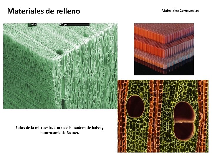 Materiales de relleno Fotos de la microestructura de la madera de balsa y honeycomb