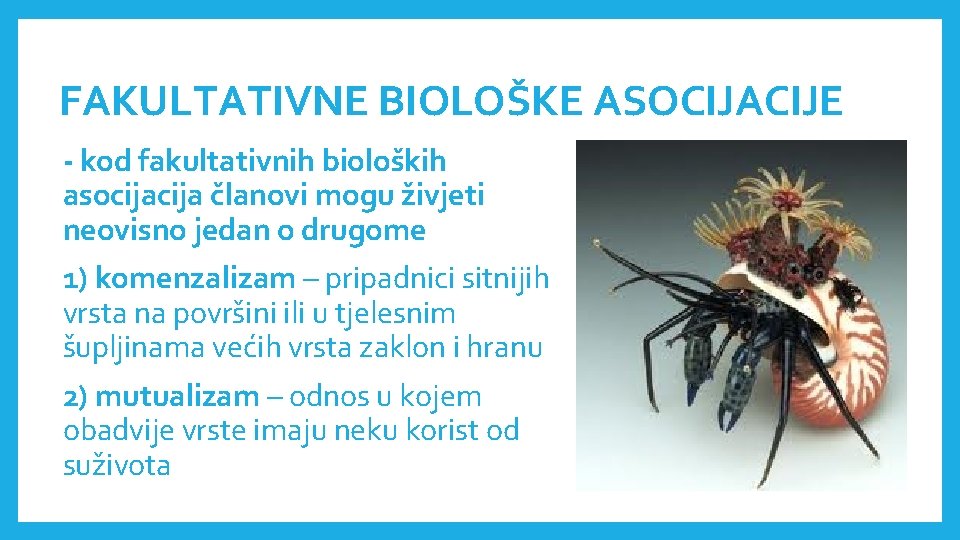 FAKULTATIVNE BIOLOŠKE ASOCIJACIJE - kod fakultativnih bioloških asocija članovi mogu živjeti neovisno jedan o FAKULTATIVNE BIOLOŠKE ASOCIJACIJE - kod fakultativnih bioloških asocija članovi mogu živjeti neovisno jedan o