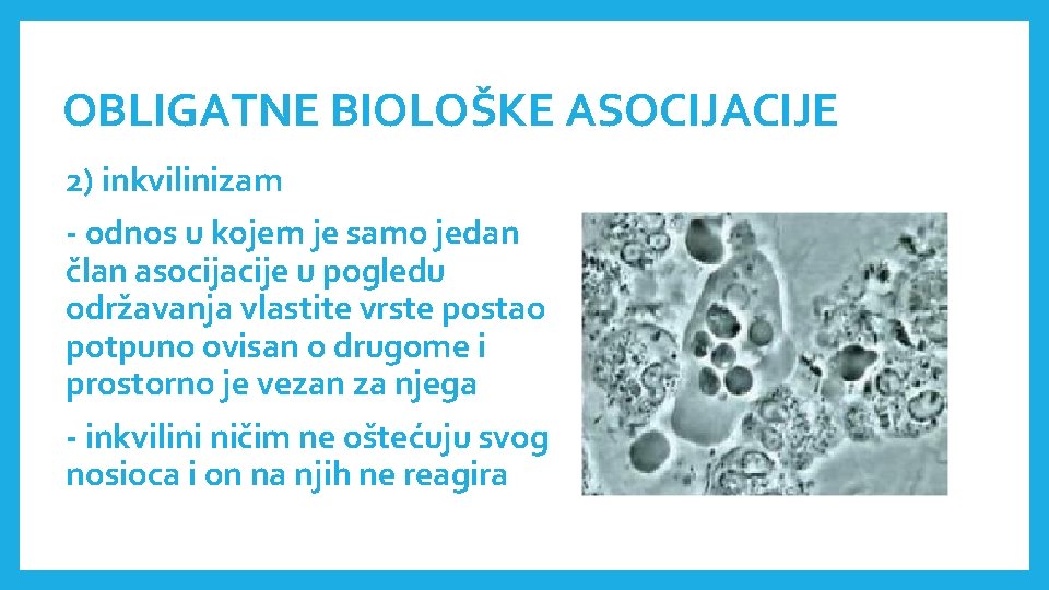 OBLIGATNE BIOLOŠKE ASOCIJACIJE 2) inkvilinizam - odnos u kojem je samo jedan član asocijacije OBLIGATNE BIOLOŠKE ASOCIJACIJE 2) inkvilinizam - odnos u kojem je samo jedan član asocijacije