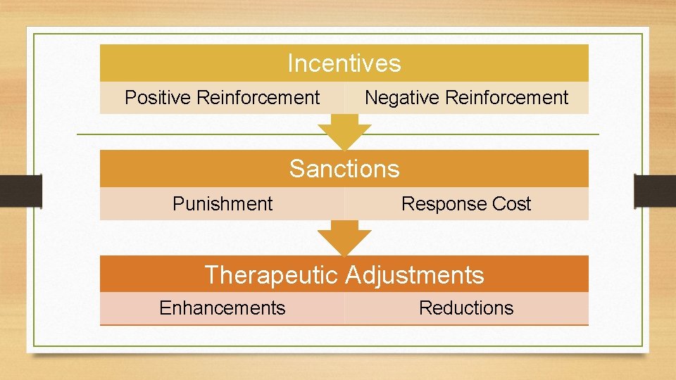 Incentives Positive Reinforcement Negative Reinforcement Sanctions Punishment Response Cost Therapeutic Adjustments Enhancements Reductions 