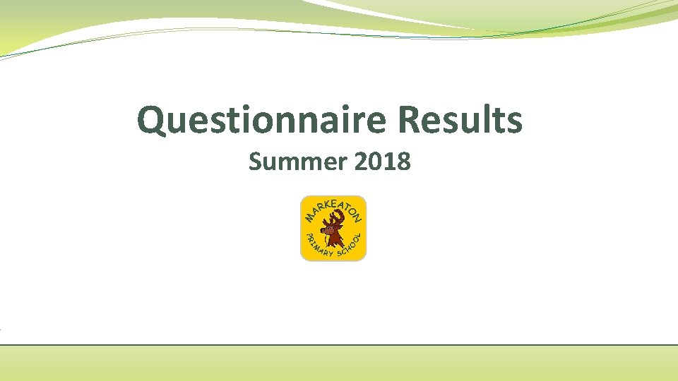Questionnaire Results Summer 2018 