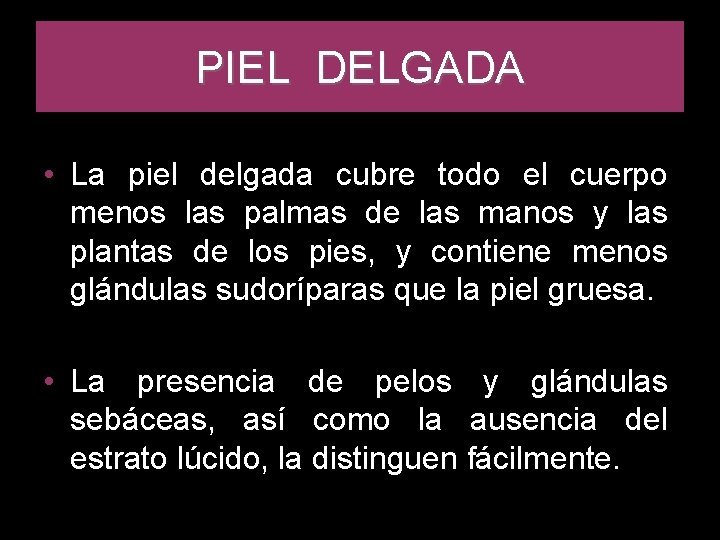 PIEL DELGADA • La piel delgada cubre todo el cuerpo menos las palmas de