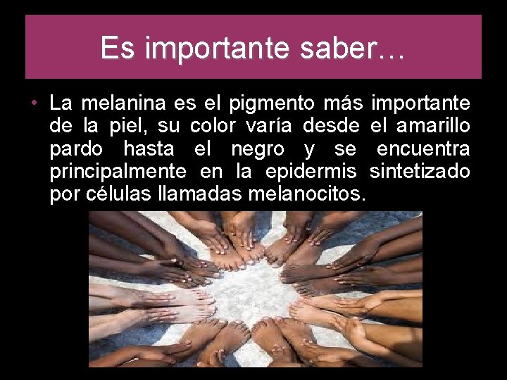 Es importante saber… • La melanina es el pigmento más importante de la piel,