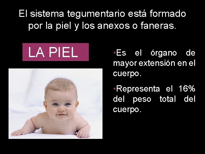 El sistema tegumentario está formado por la piel y los anexos o faneras. LA