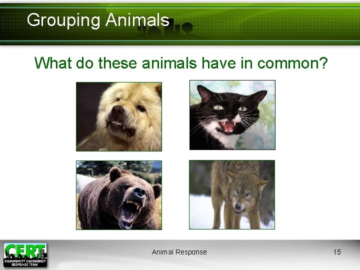 Grouping Animals What do these animals have in common? Animal Response 15 