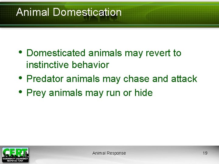 Animal Domestication • Domesticated animals may revert to • • instinctive behavior Predator animals