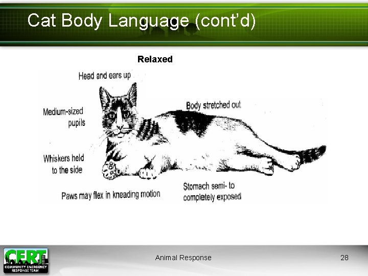 Cat Body Language (cont’d) Relaxed Animal Response 28 